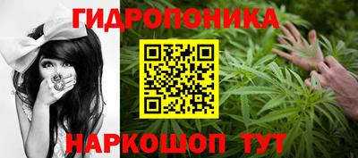 гашик Кизляр