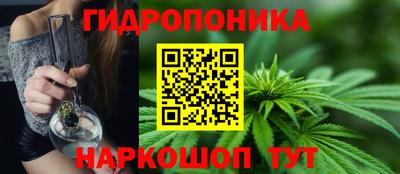гашик Кизляр