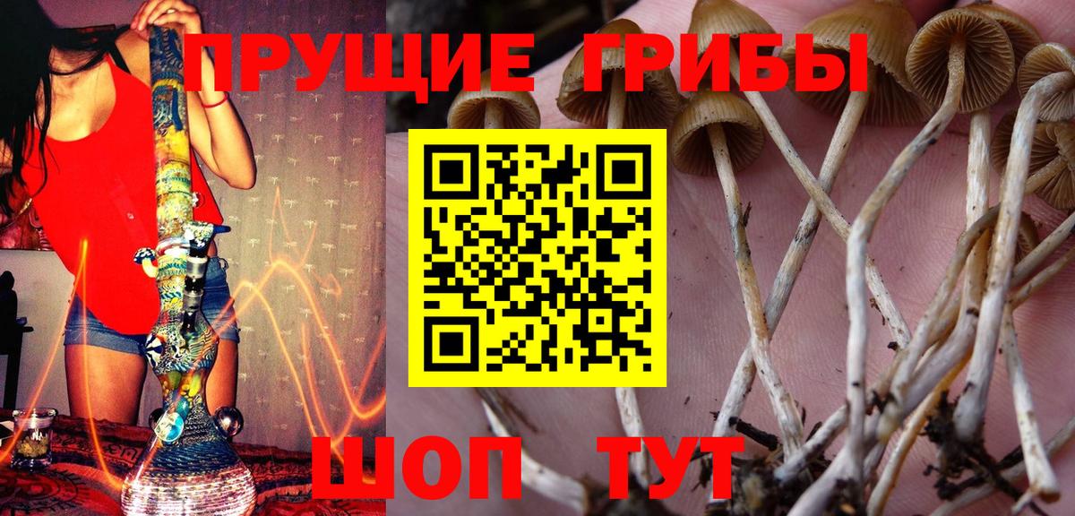 Псилоцибиновые грибы ЛСД Оренбург